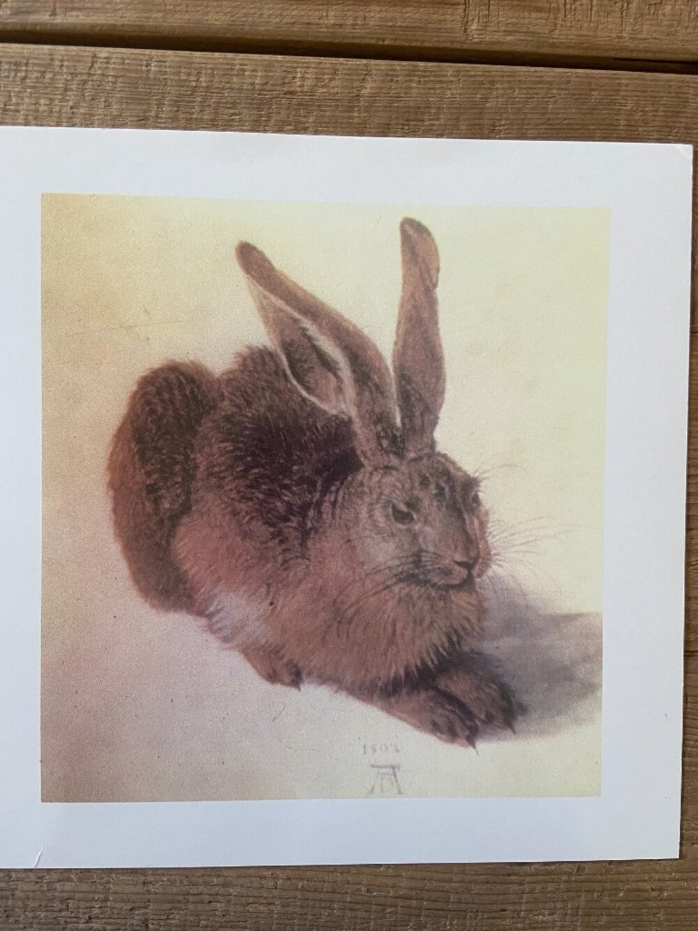 Albrecht Durer, Rabbit Art, Rabbit Print - Picture 2 of 6